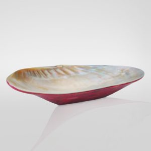 Soap Dish