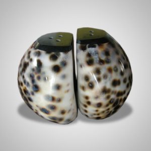 Salt & Pepper Shell Set
