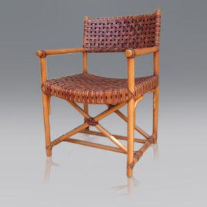 Director Arm Chair