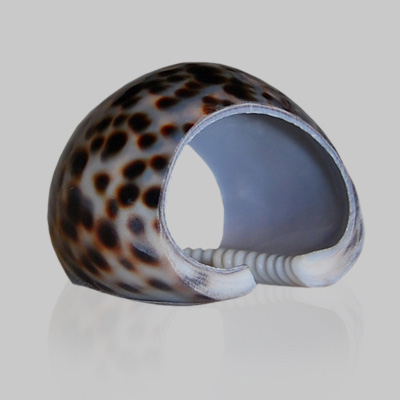 Napkin Ring