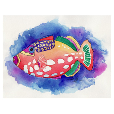 Clown Fish