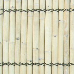 Bamboo Fence