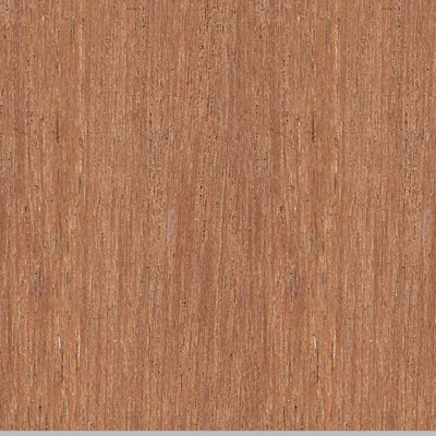 Kamper-Holz